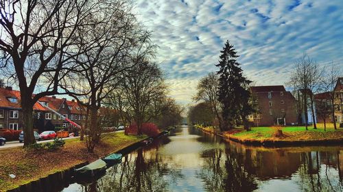 Reflection of trees in water against sky in city