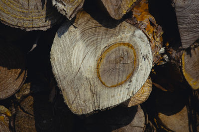 Close-up of stack of logs