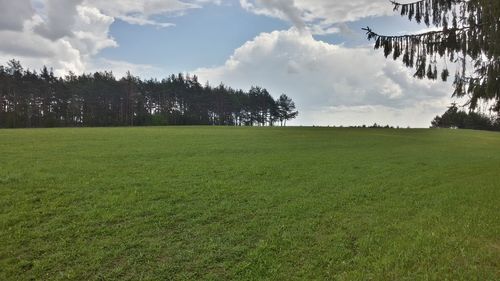 Scenic view of grassy field against cloudy sky