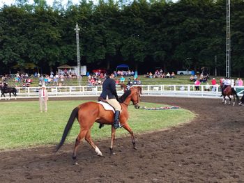 Jockey riding horse on field