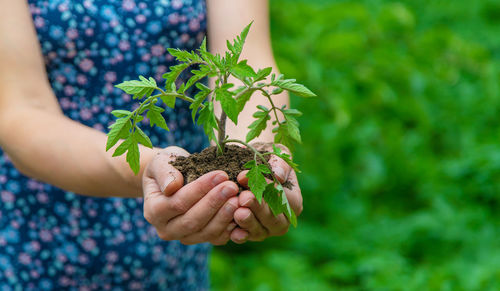 Midsection of woman holding plant