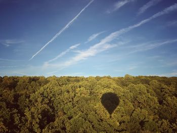 Scenic view of field against blue sky