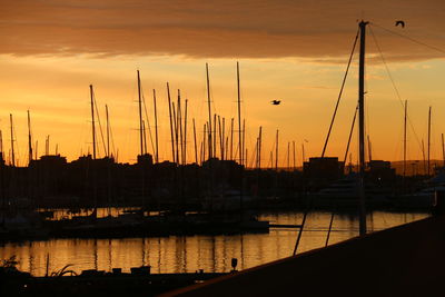 Sailboats in marina at sunset