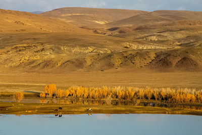 Scenic view of landscape and lake