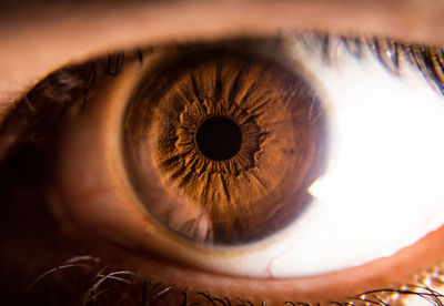 Close-up of human eye