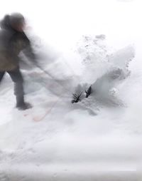 Man feeding in snow