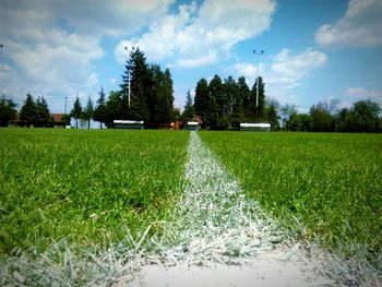 Grass on playing field against sky