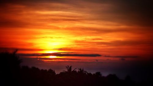 Silhouette of trees against sky during sunset