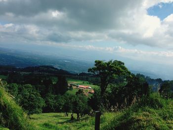 Scenic view of agricultural field against sky