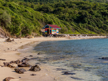 House on beach by trees in forest