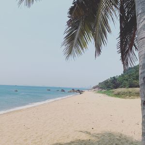 Scenic view of beach against clear sky