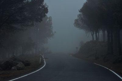 Road amidst trees against sky