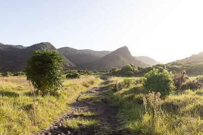 Scenic view of landscape against clear sky