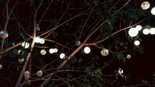 Low angle view of illuminated tree against sky at night