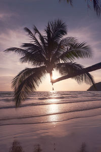 Silhouette palm tree by sea against sky at sunset