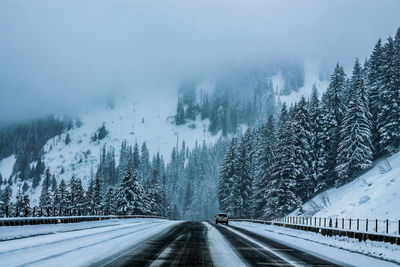 Road by trees against sky during winter