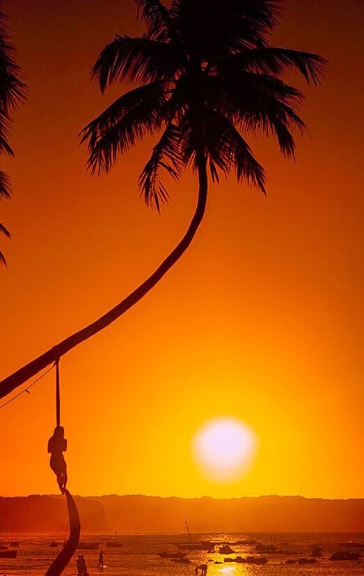 SILHOUETTE PALM TREE ON BEACH AGAINST SKY DURING SUNSET