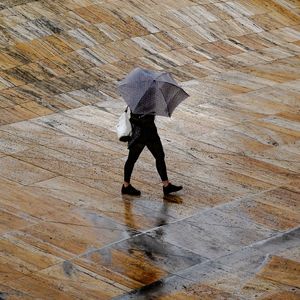 High angle view of woman walking under umbrella on footpath