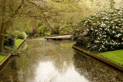 Swimming pool by trees against sky