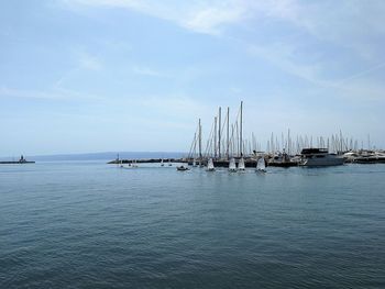 Sailboats in marina