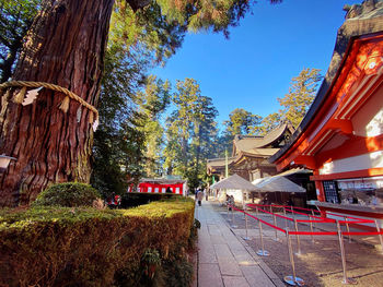 Street amidst trees and buildings against sky