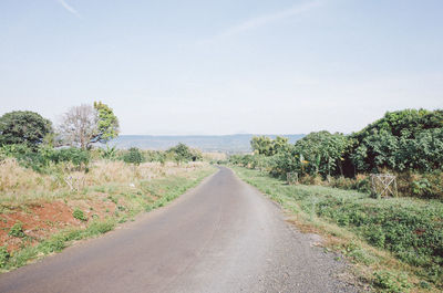 Empty road along trees and plants against sky