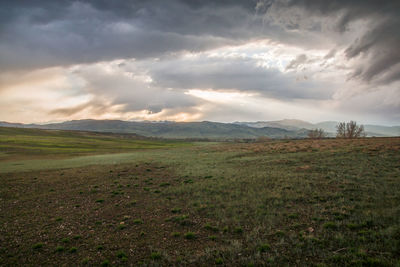 Scenic view of landscape against sky