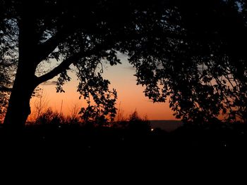 Silhouette trees against sky during sunset