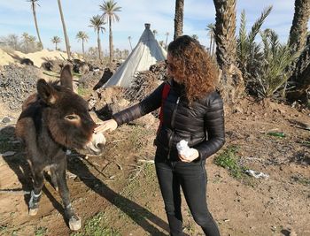 Young woman stroking donkey on field during sunny day