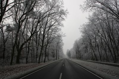 Road amidst trees against sky during winter