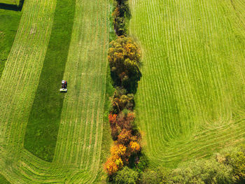 High angle view of agricultural field