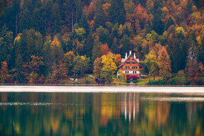 Scenic view of lake in forest during autumn