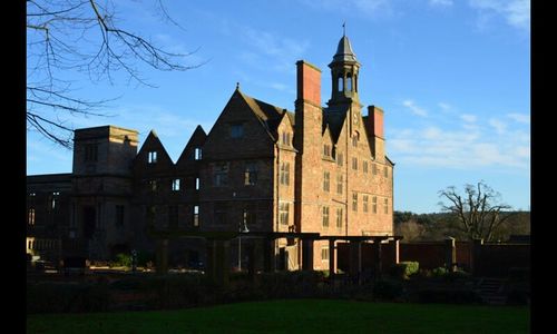Bare trees against buildings