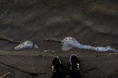 Low section of person standing on beach