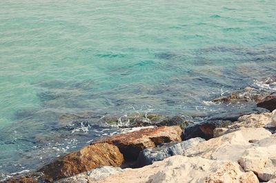 Scenic view of sea shore