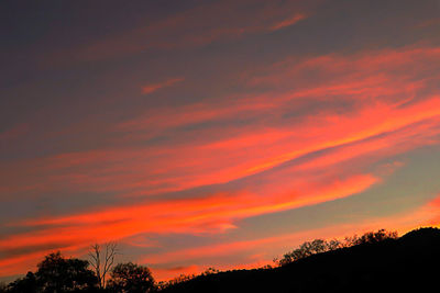 Low angle view of silhouette trees against dramatic sky