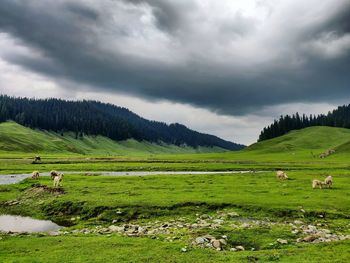 Scenic view of landscape against sky