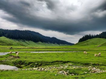 Scenic view of landscape against cloudy sky in bangus valley kashmir