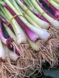 High angle view of vegetables for sale in market