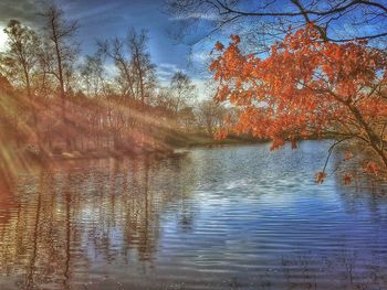 Reflection of trees in water