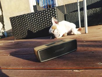 Cat relaxing on table at home