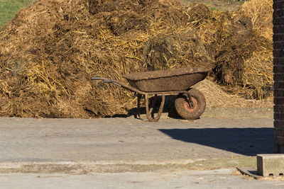 View of a horse cart