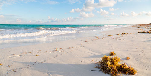 Scenic view of beach against sky