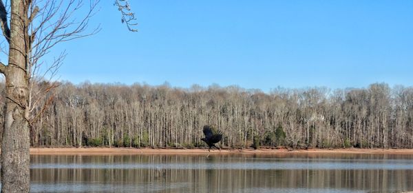 Scenic view of lake against clear sky