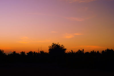 Silhouette trees against dramatic sky during sunset