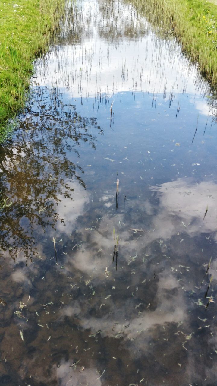 HIGH ANGLE VIEW OF A DUCK IN LAKE