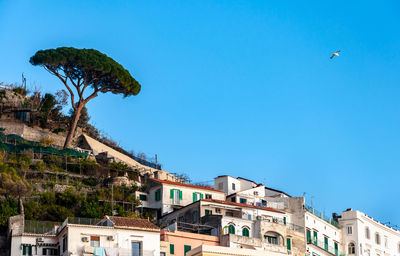 Low angle view of buildings against blue sky