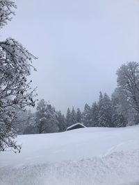 Snow covered land and trees against sky