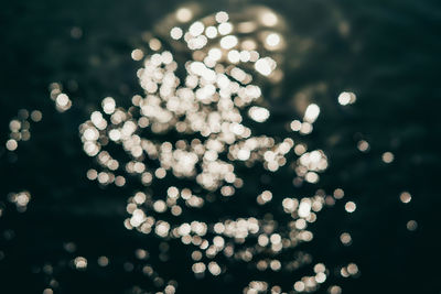 Defocused image of illuminated christmas tree at night