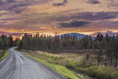 Road amidst trees against sky during sunset